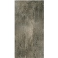 Gạch ốp lát Eurotile Đăng Sơn DAS Q02